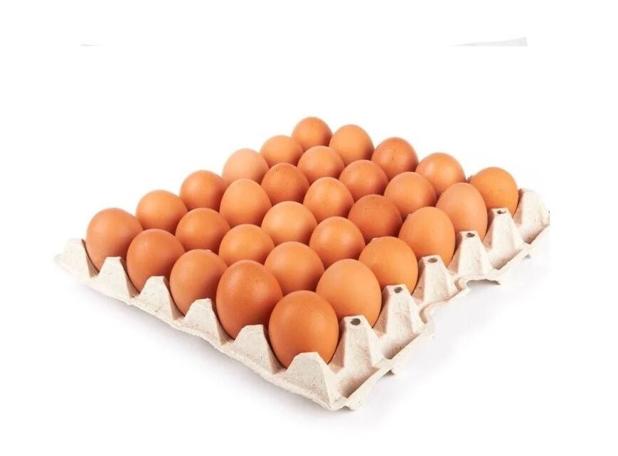 PLATEAU OEUF VRAC 30PCS